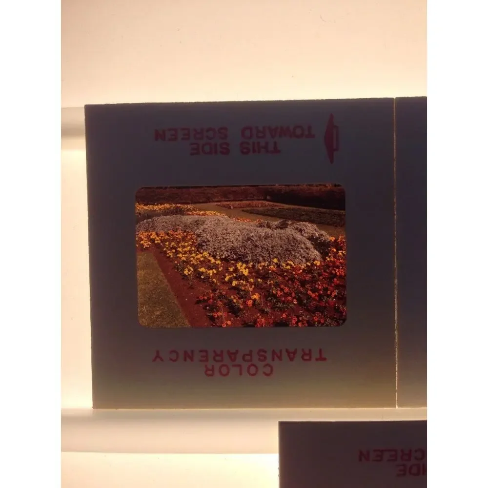 Lot 3 Vintage 1970 Garden Flowers Yard Floral Landscape Photograph Color Slides